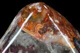 Polished Crazy Lace Agate - Mexico #114385-3